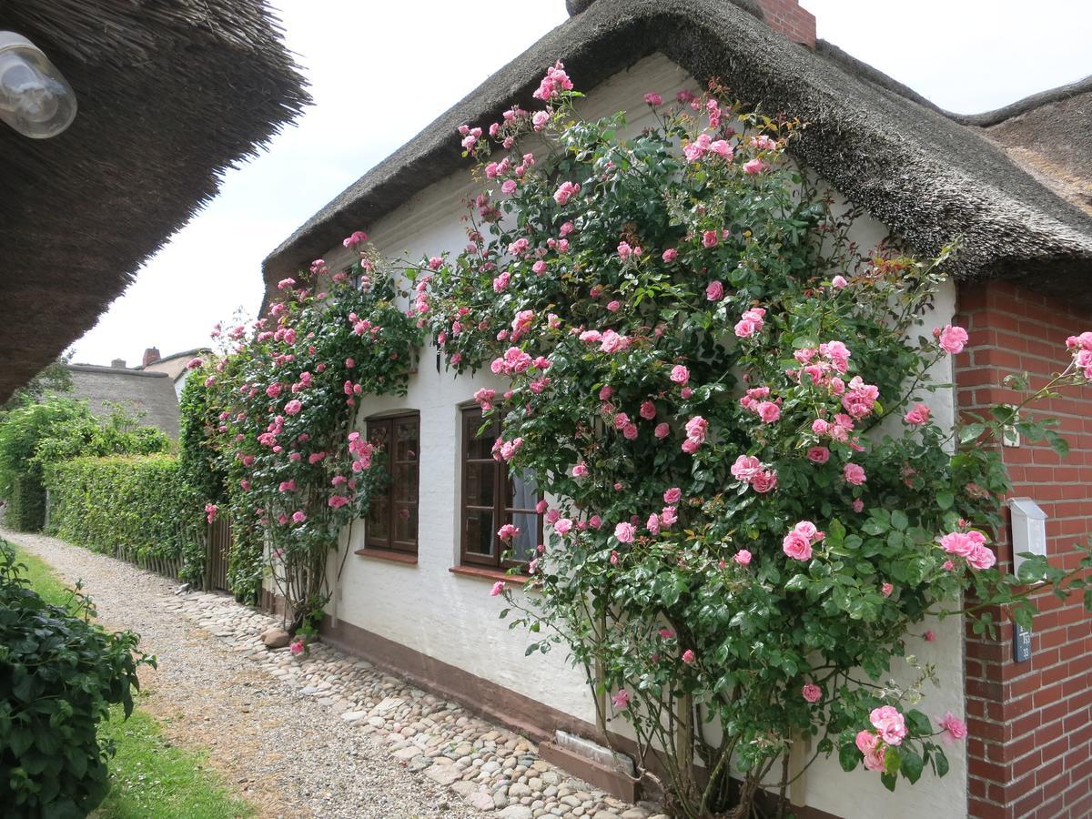 Haus-An-De-Marsch Apartment Midlum  Exterior foto